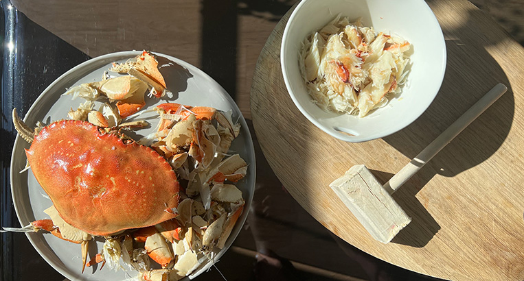 Dungeness crab meat and Dungeness crab shells.
